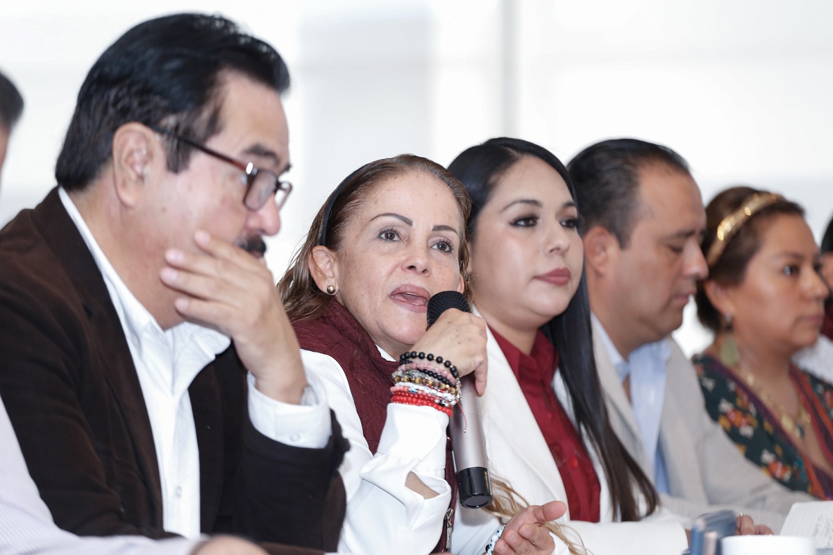 "Impugnación contra Néstor Camarillo sigue viva": Comité Estatal de Morena