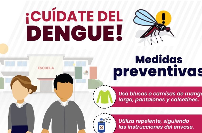  Continúa en 783 número de casos de dengue en Puebla: Salud