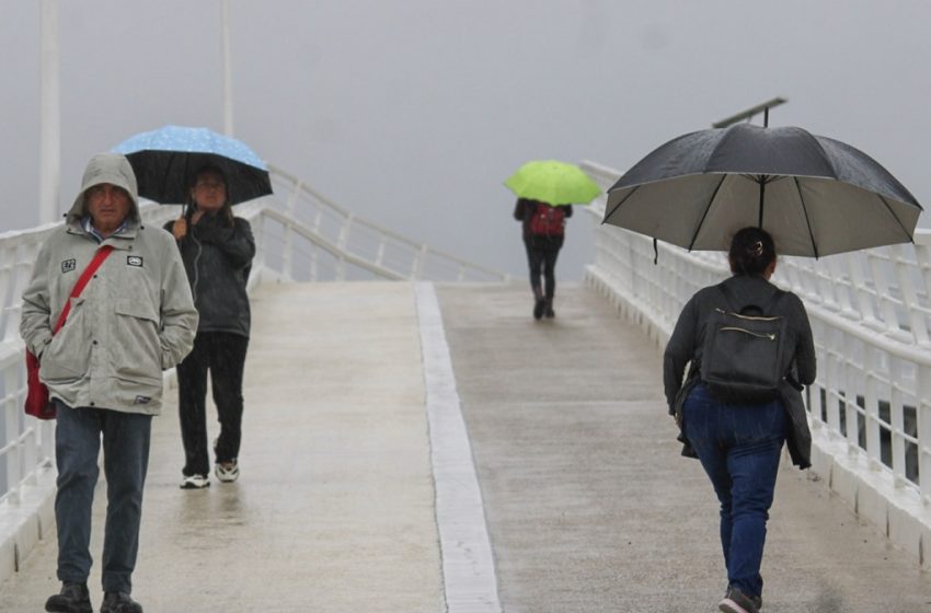  En sinergia, PC estatal atiende afectaciones por lluvias en la entidad