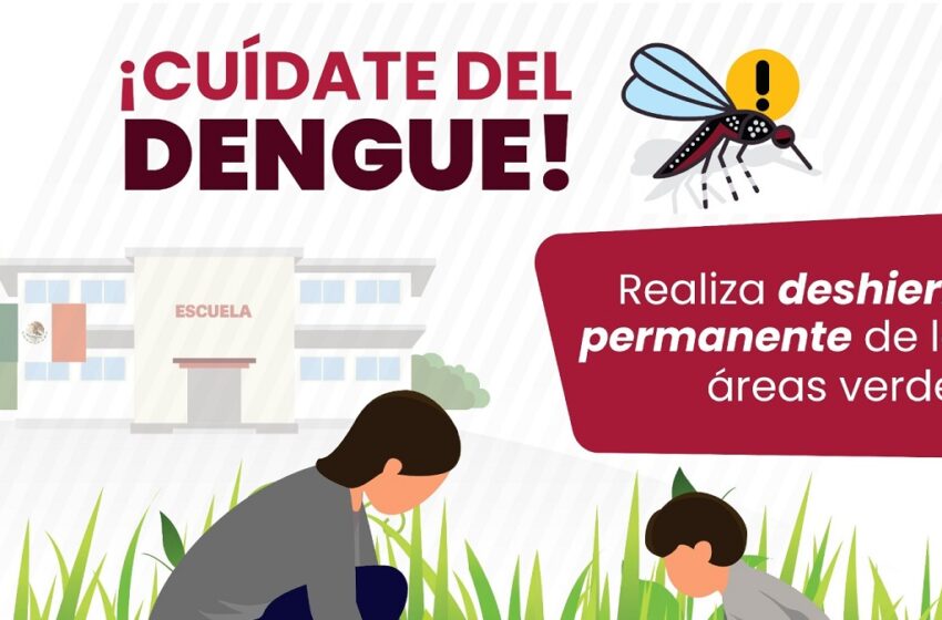  Ingresa Tehuacán a lista de municipios con más casos de dengue: Salud