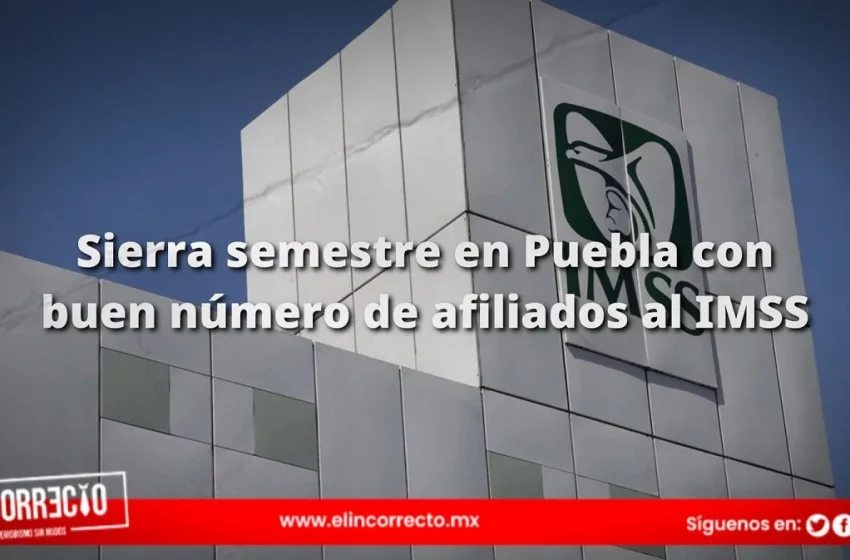  Puebla reporta 16 mil nuevos empleos al primer semestre de 2024