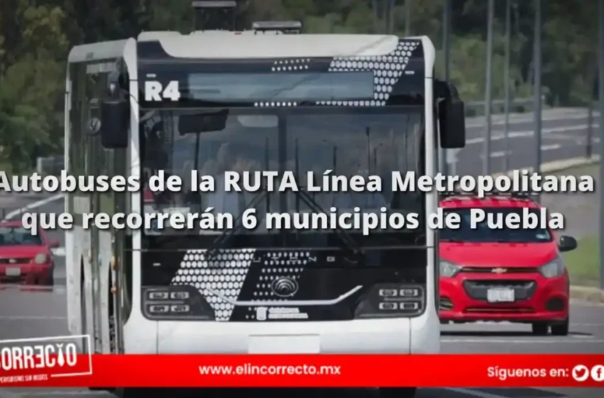  Estos son los autobuses de la RUTA Línea Metropolitana que recorrerán 6 municipios de Puebla ¿Ya los conoces?