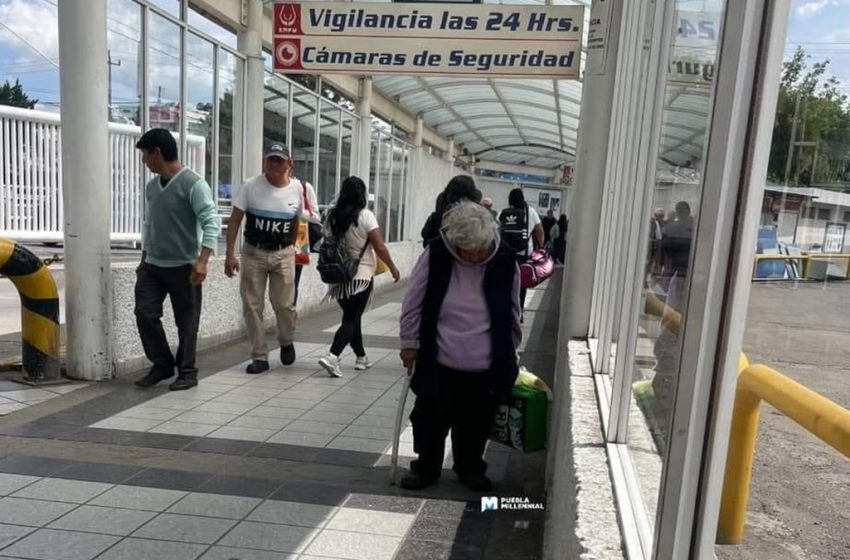  ¿Quién es María de Jesús? La Abuelita que Espera Reencontrarse con sus Hijos en la CAPU desde Hace Dos Años