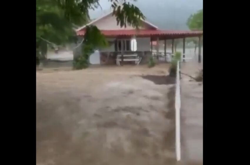  Zoológico en Jalpan Inundado por Desbordamiento de Arroyos tras Fuertes Lluvias en la Sierra Norte de Puebla
