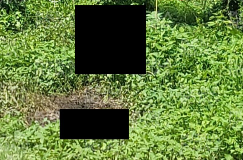  Macabro Hallan Cadáver de Mujer en Campos de Cultivo en Puebla
