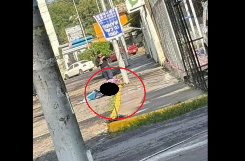  Horror en Puebla: Hallan Cuerpo Desmembrado en Unidad Habitacional Volkswagen II