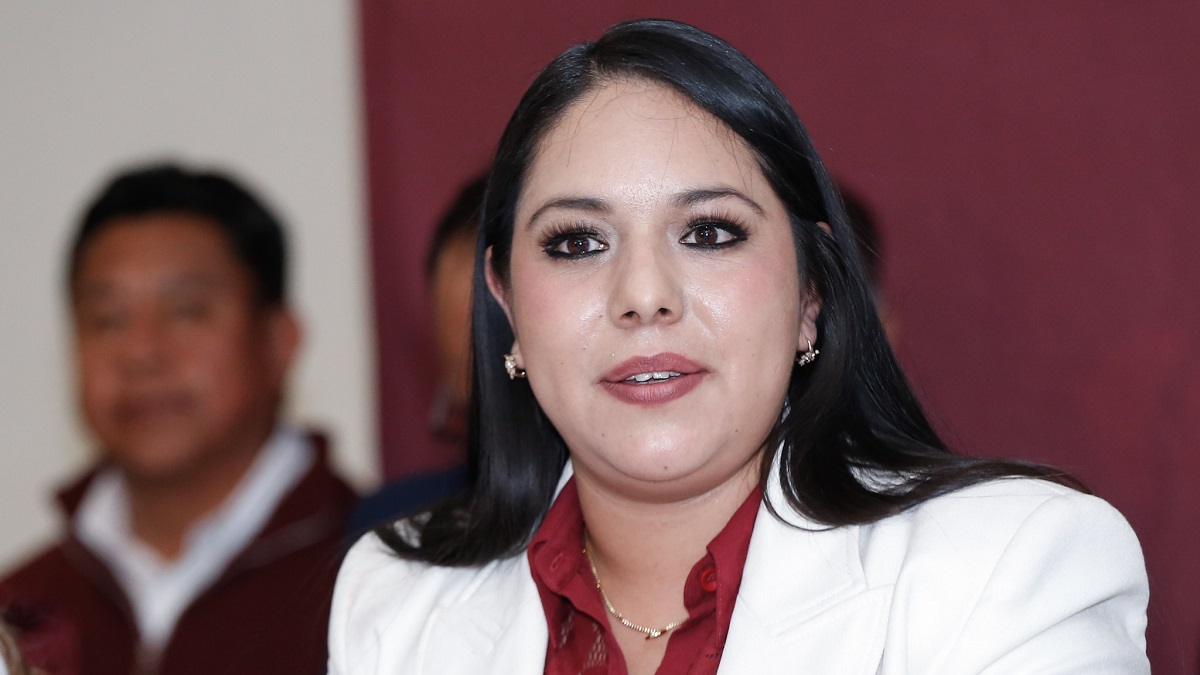 "Impugnación contra Néstor Camarillo sigue viva": Comité Estatal de Morena