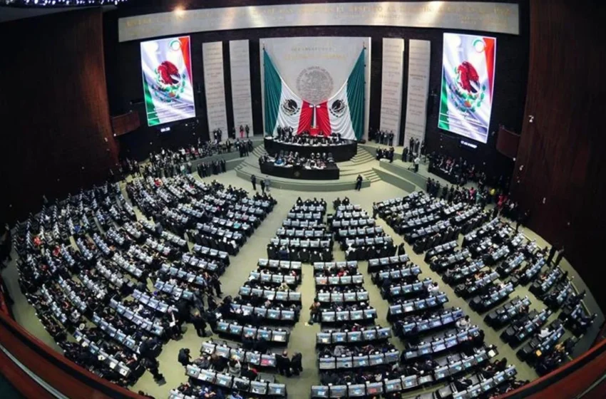  Puebla tendrá seis diputadas plurinominales en la Cámara de Diputados