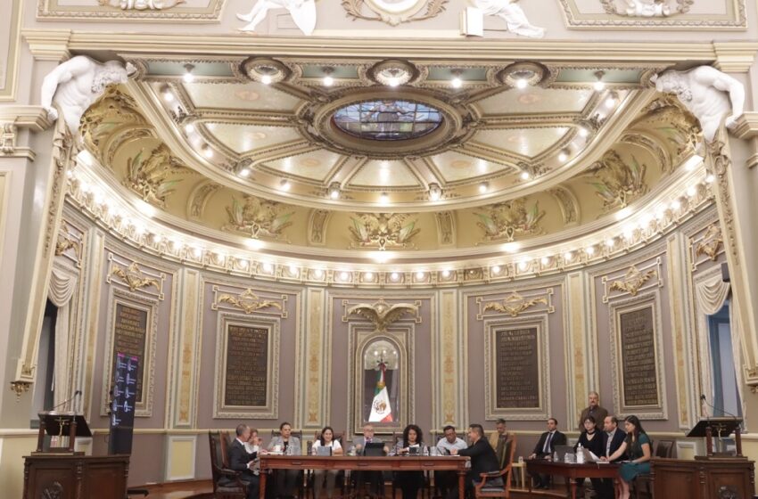  Proponen en Congreso creación del Programa Estatal de Adopción Animal Responsable