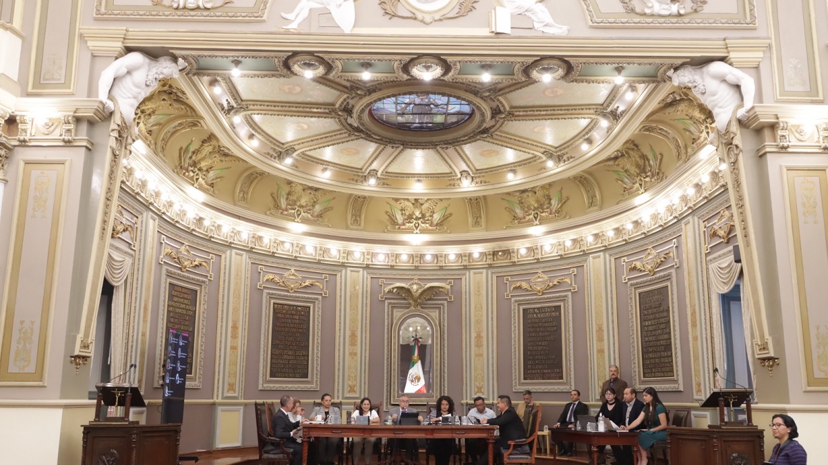 Proponen en Congreso creación del Programa Estatal de Adopción Animal Responsable