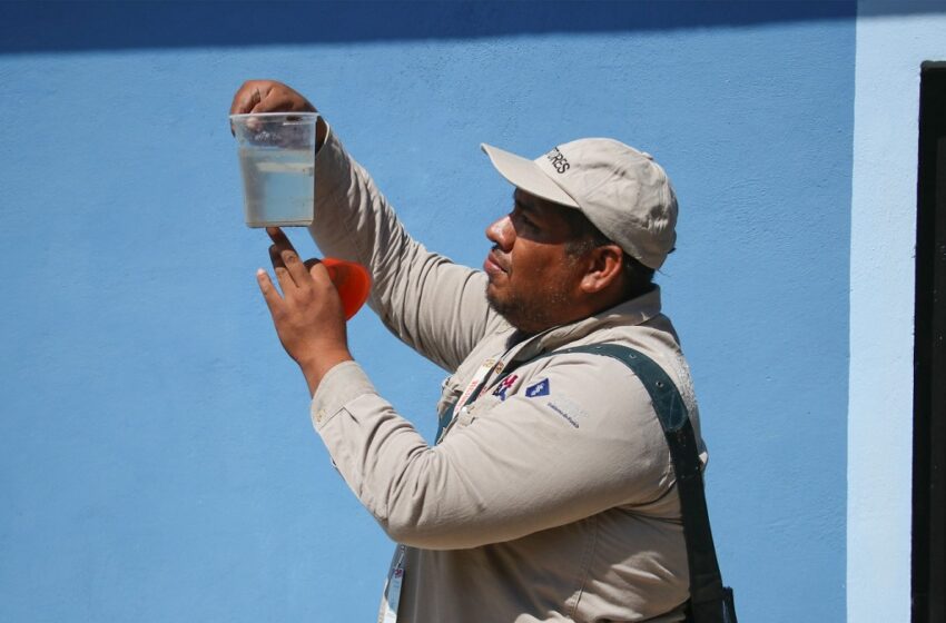  Registra Puebla tres contagios por dengue en las últimas 24 horas: Salud