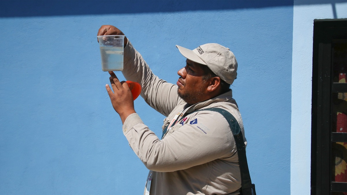 Registra Puebla tres contagios por dengue en las últimas 24 horas: Salud