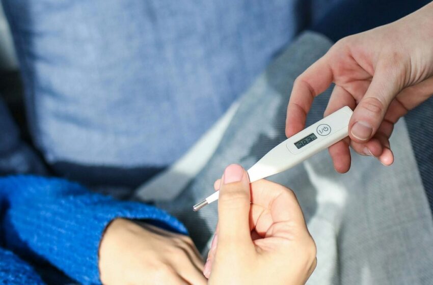  Registra Salud 40 contagios por dengue en últimas 24 horas