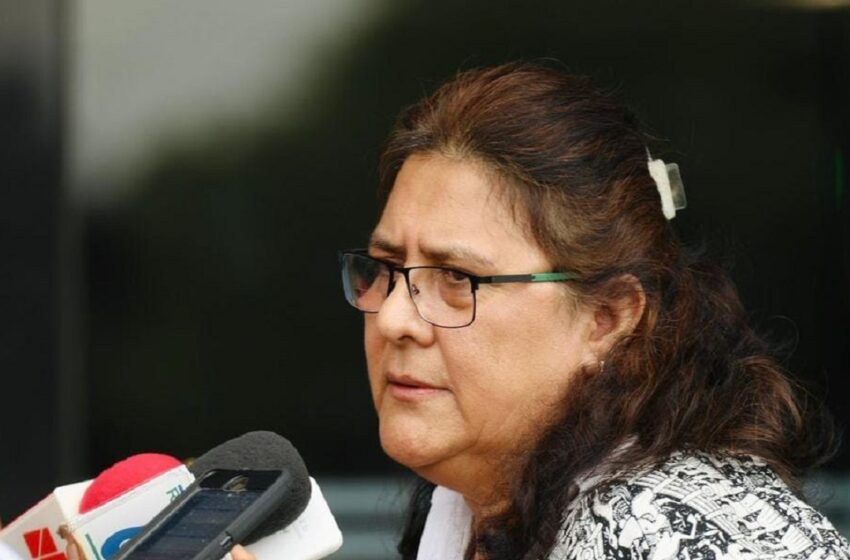  Se registra Rosario Orozco Caballero como diputada federal en San Lázaro