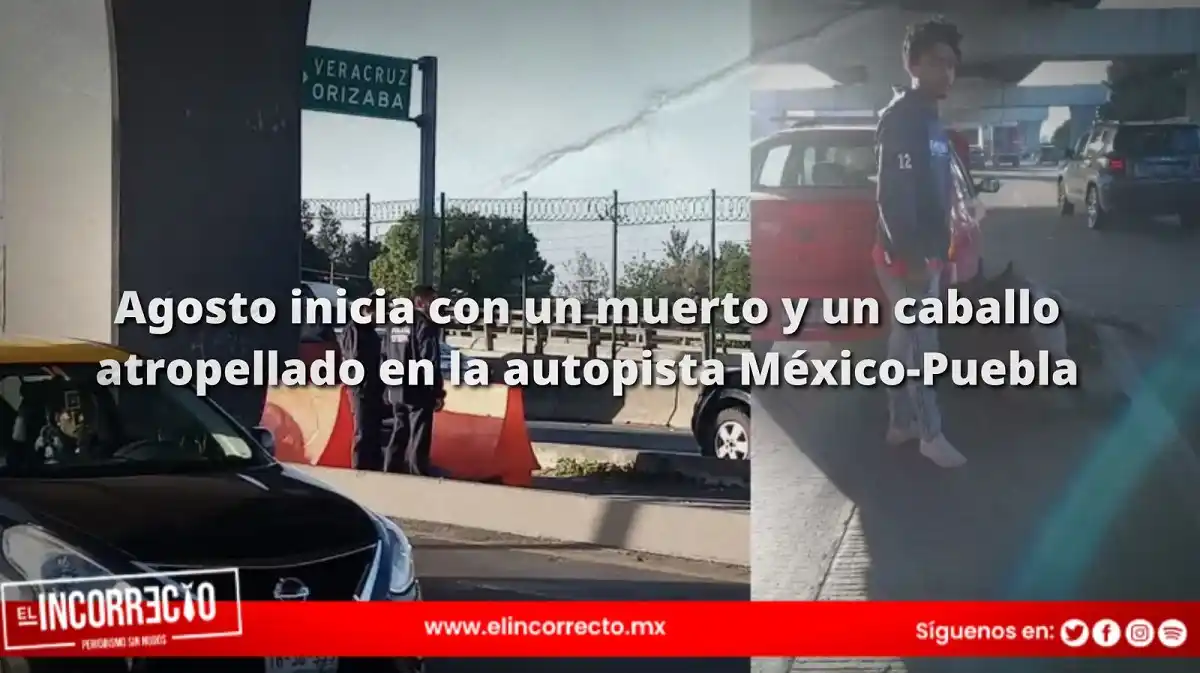 Agosto inicia con un muerto y un caballo atropellado en la autopista México-Puebla (+FOTOS)