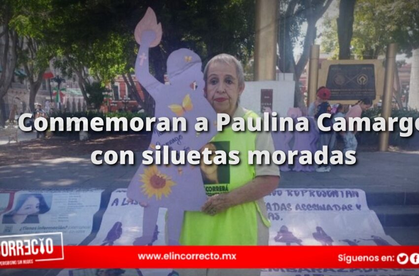  Conmemoran a Paulina Camargo con siluetas moradas tras nueve años desaparecida