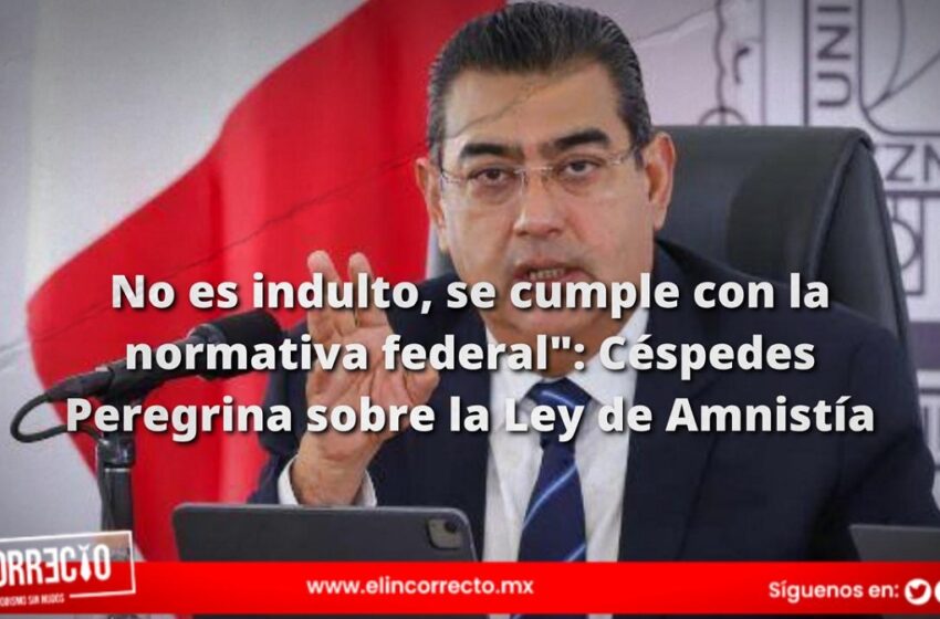  «No es indulto, se cumple con la normativa federal»: Sergio Salomón sobre la Ley de Amnistía
