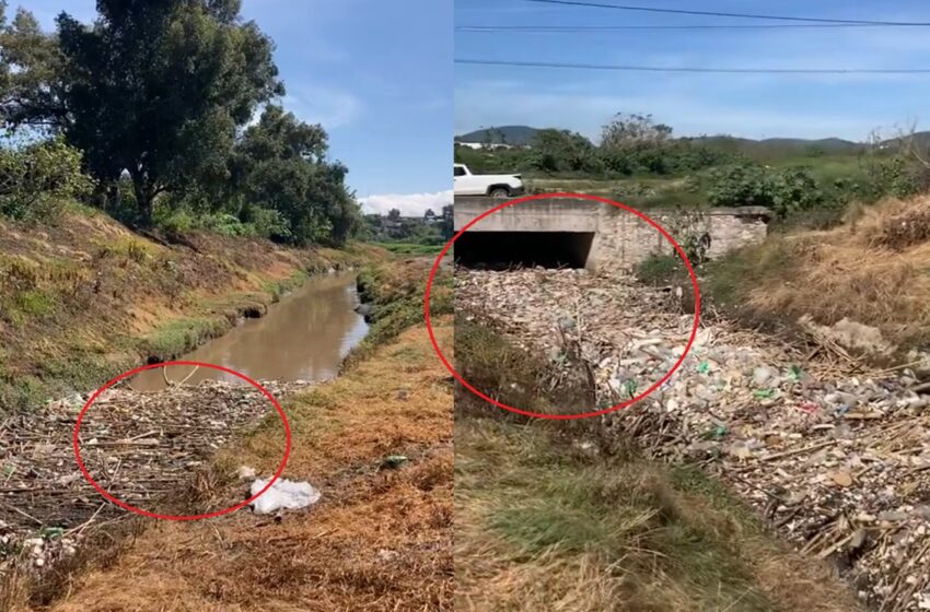  ¡Impactante! Video revela taponamiento de basura en río de Puebla que causa inundaciones