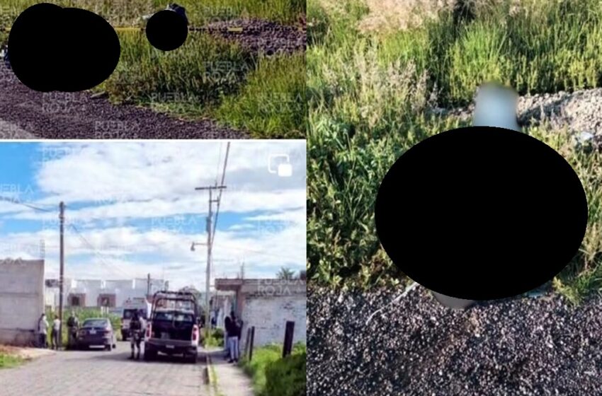  Martes de Terror ¡Macabro hallazgo! Encuentran dos cuerpos embolsados en San Cosme y Tepetitla, Tlaxcala