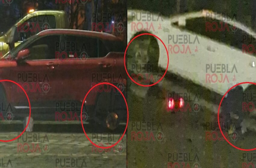 ¿Y la seguridad? Roban llantas en pleno estacionamiento de Volkswagen en Puebla