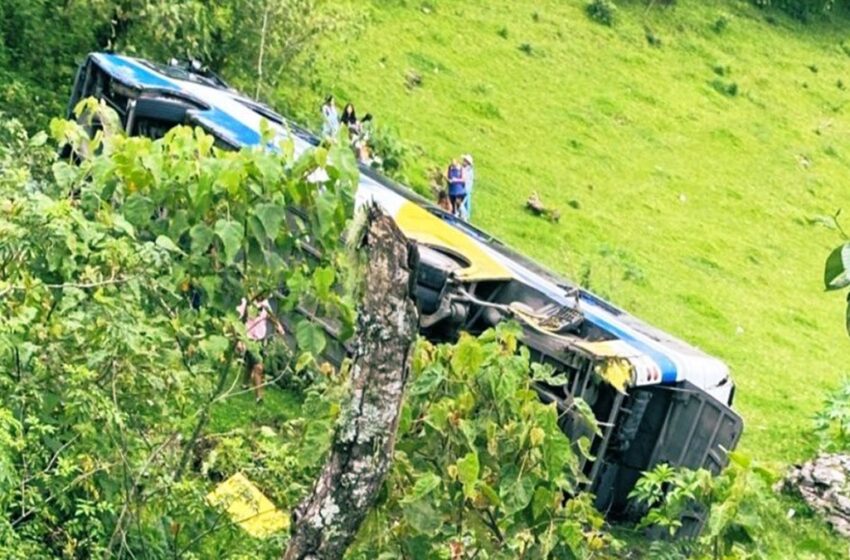  Tragedia en la Zacapoaxtla-Cuetzalan: Vuelca autobús y deja un muerto y nueve heridos