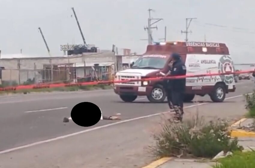  Tragedia en Amozoc Hombre Muere Atropellado en la Carretera Puebla-Tehuacán