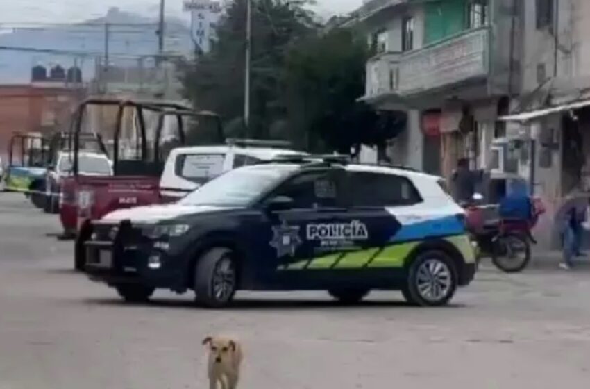  ¡Tensión en la colonia Nueva San Salvador! Balacera entre policías y ladrones tras robo a ferretería.