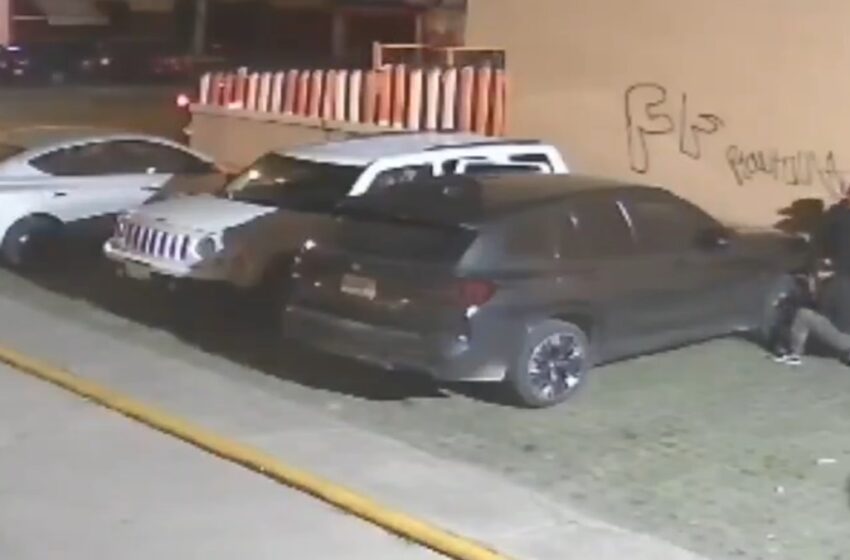  ⚠️ ¡En segundos! Ratas roban partes de camioneta en fraccionamiento Los Héroes 🚨