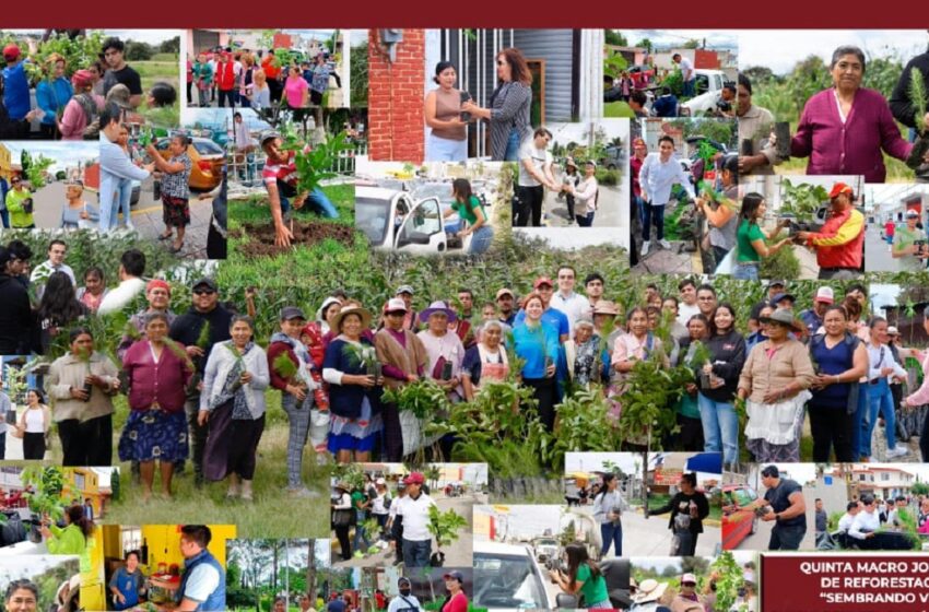 5ª Jornada Ambiental de jóvenes poblanos de la mano con Armenta