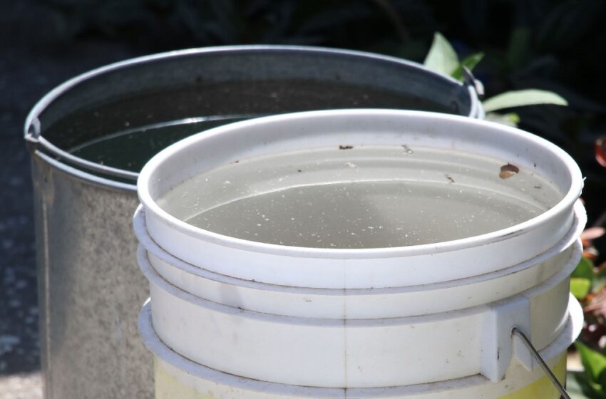 Acumula Puebla 2 mil 439 contagios por dengue en el año