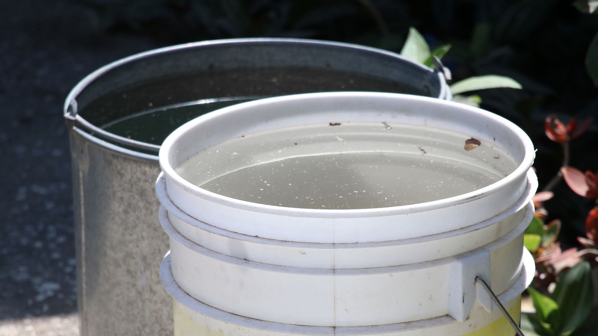 Acumula Puebla 2 mil 439 contagios por dengue en el año