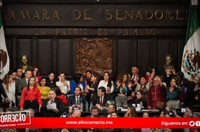  Así votaron los tres senadores de Puebla la reforma judicial