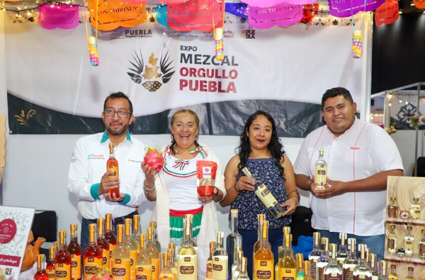 Con “expo mezcal orgullo”, gobierno de Sergio Salomón posiciona a Puebla a nivel internacional