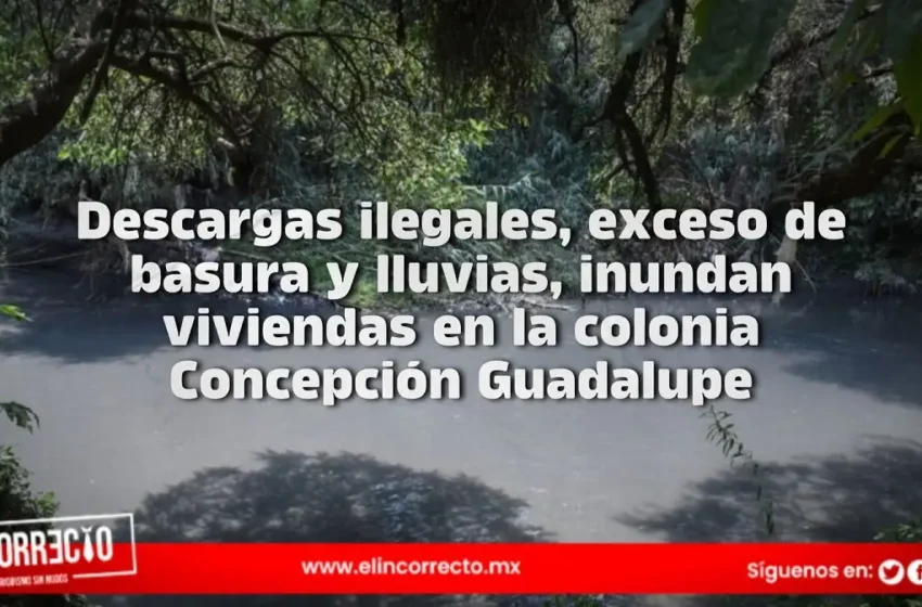  Descargas ilegales, exceso de basura y lluvias, inundan viviendas en la colonia Concepción Guadalupe
