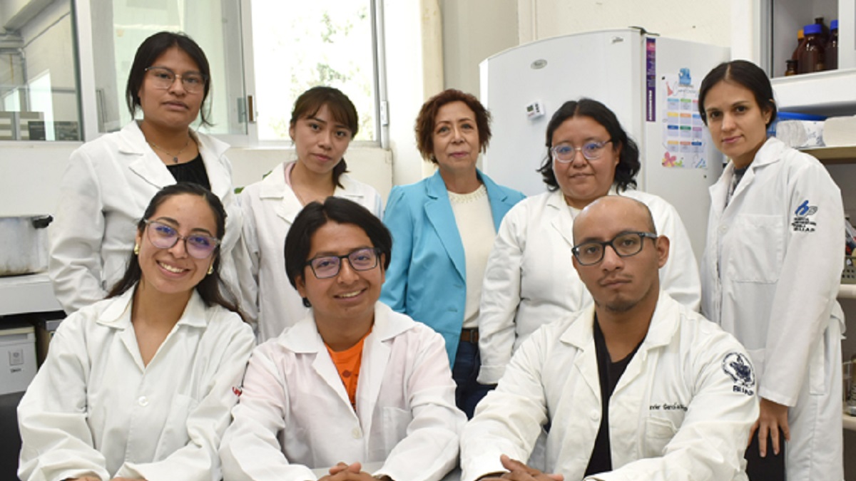 Extractos de pápalo y pipicha inhiben crecimiento de bacterias patógenas