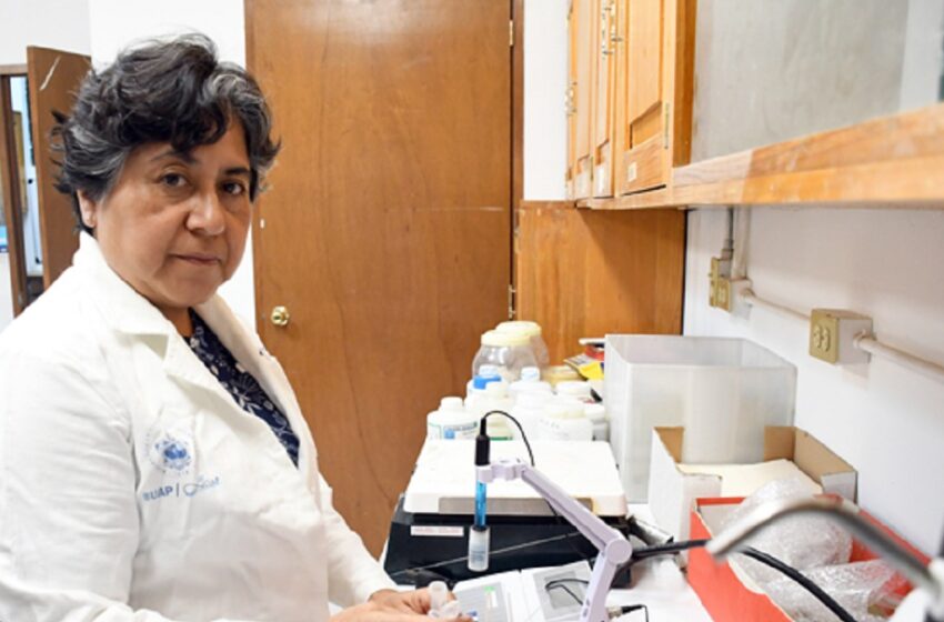  Investigadores detectan metales pesados en polvo de las calles de la ciudad de Puebla