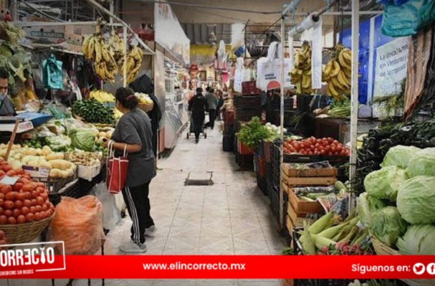  Crece 7.4% la economía informal en Puebla durante el primer trimestre del año: INEGI