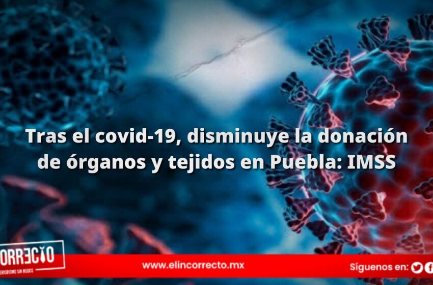  Tras el covid-19, disminuye la donación de órganos y tejidos en Puebla: IMSS