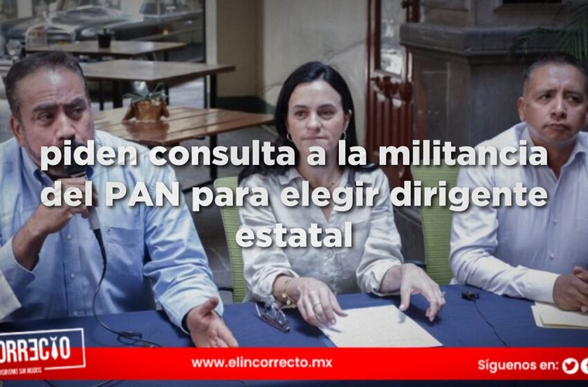  Tlatehui, Micalco y Della Vecchia piden consulta a la militancia del PAN para elegir dirigente estatal 