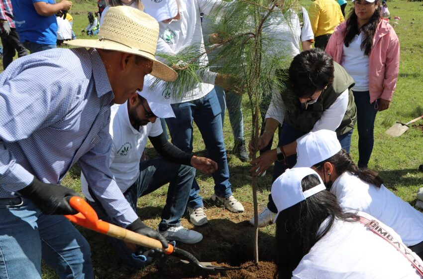  Recibirá ecorregión Valles Centrales más de 970 mil plantas para reforestar: Medio Ambiente