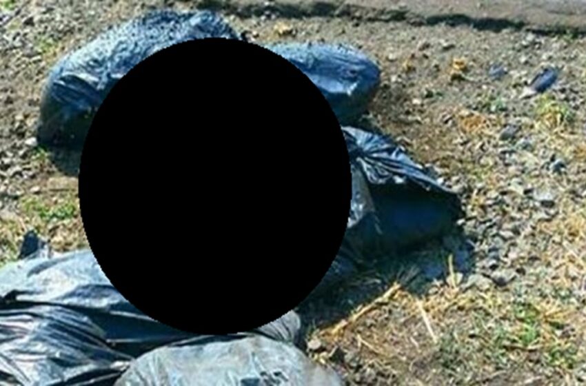  ¡Macabro hallazgo en Molcaxac! Abandonan cuerpo decapitado y embolsado en la carretera