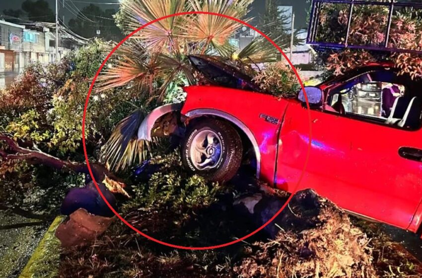  Accidente en Calzada Zaragoza por lluvia; Un automóvil perdió el control y se impactó contra un árbol