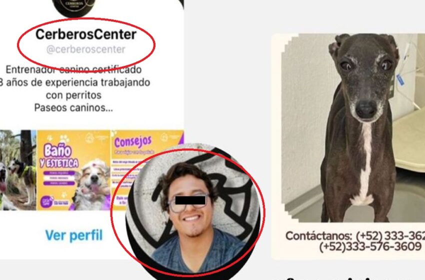  Negligencia en Cerberos Center: Bartolo, perrito fallecido en misteriosas circunstancias