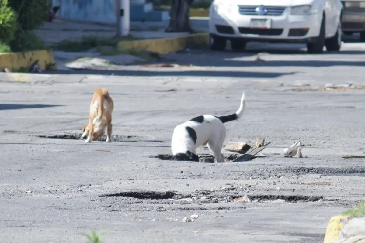 Anuncian bacheo nocturno para la capital y zona metropolitana de Puebla