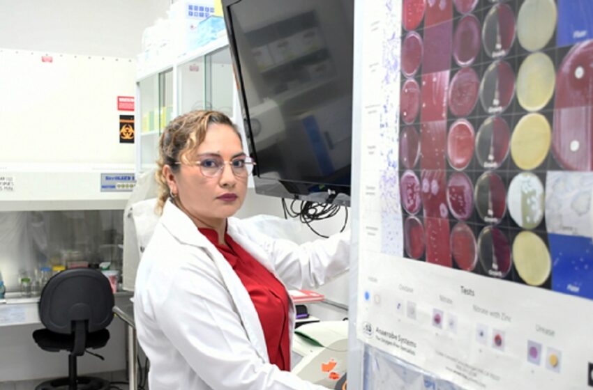  Investigadora BUAP estudia factores de virulencia en bacteria causante de diarreas infantiles