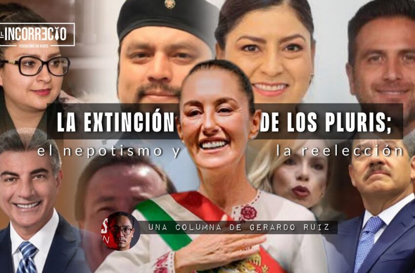  La extinción de los ‘pluris’, el nepotismo y la reelección