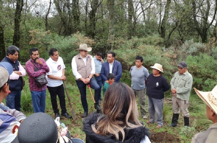  La industrialización del Cáñamo para el crecimiento sostenibile y el cuidado del planeta impulsa Alejandro Armenta