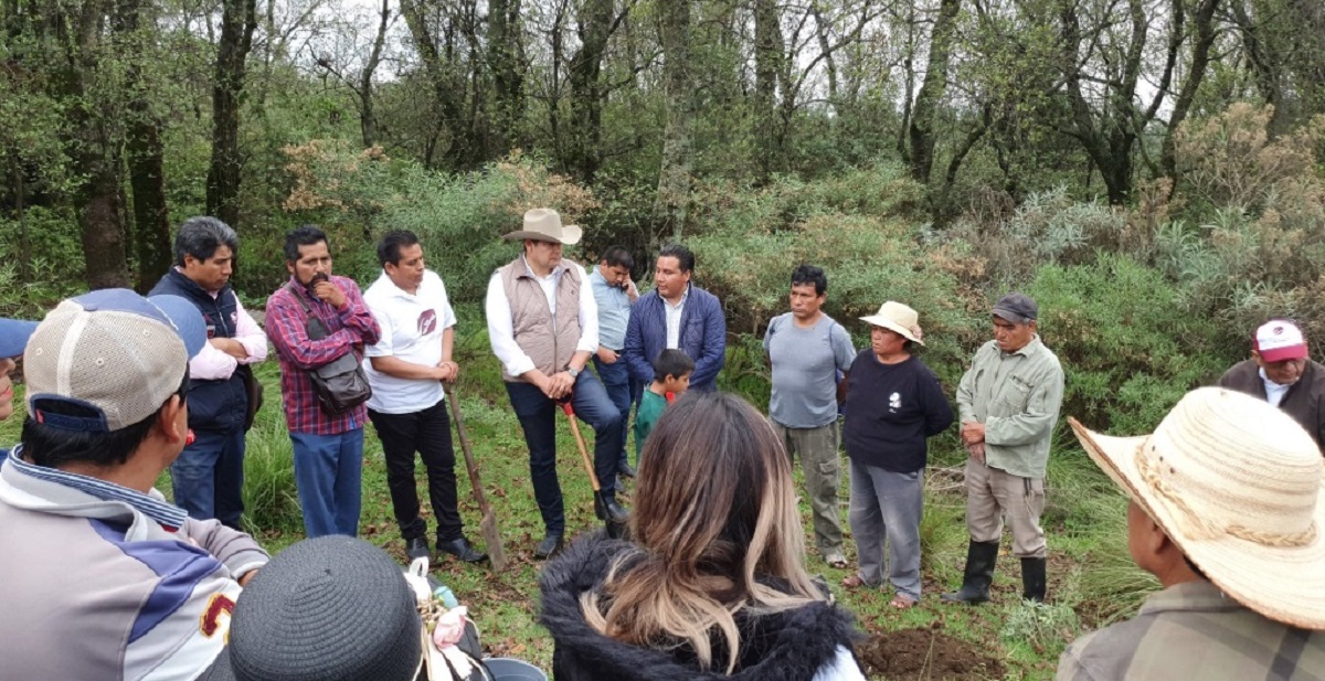 La industrialización del Cáñamo para el crecimiento sostenibile y el cuidado del planeta impulsa Alejandro Armenta