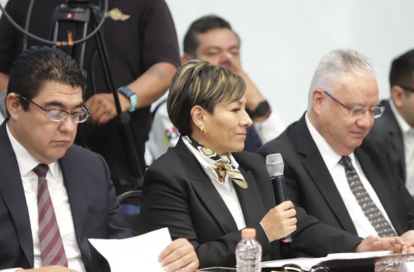  Restaura gobierno estatal 6 mil 242 hectáreas con plan de reforestación