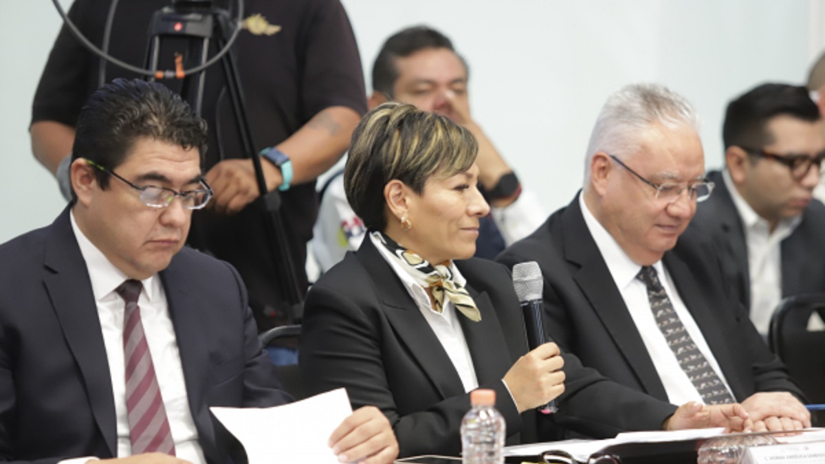 Restaura gobierno estatal 6 mil 242 hectáreas con plan de reforestación